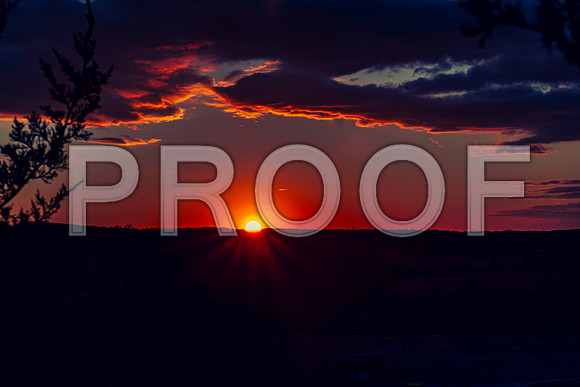 untitled-8308.jpg