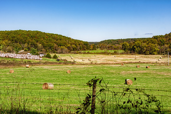 Backroads (c)PicsbyJax-3359-Edit.jpg