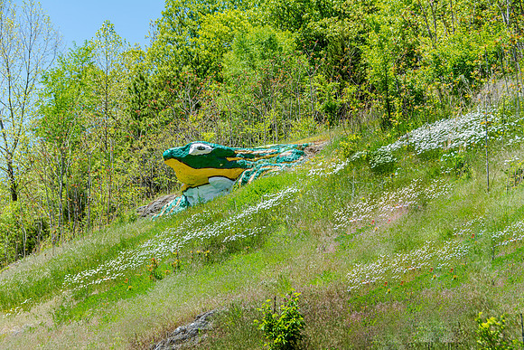 Waynesville, MO WH Croacker _Frog Rock_JAX_8968 3