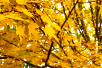 untitled-5091.jpg