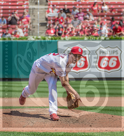 STL Cardinals v Cinncinati Reds @ Busch Stadium in Saint Louis, Missouri (c)2017PicsbyJax #saintlouiscardinals #cardinals #myfirstgame #picsbyjax  MO(c)2017PicsbyJax #history #wrinksmarket #lebanonmo