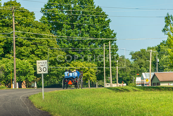 JAX_4266.jpg
