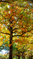 untitled-5513.jpg