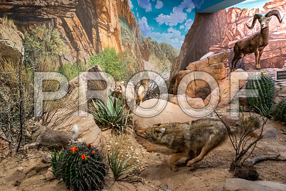 Wonders of Wildlife National Museum and Aquarium (C) PicsbyJax #wondersofwildlife #springfieldmo #picsbyjax -8950.jpg