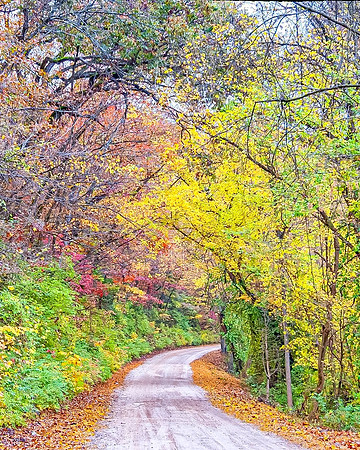 Pulaski County Gravel Road.jpg